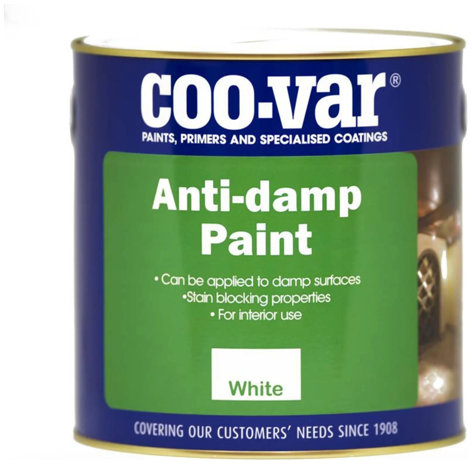 Anti Damp Paint