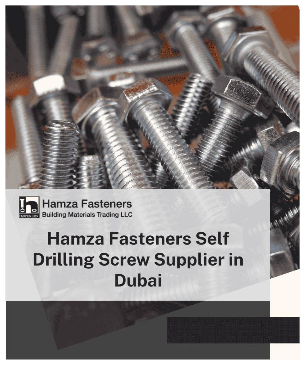 Fastener Self Drilling 12x50mm