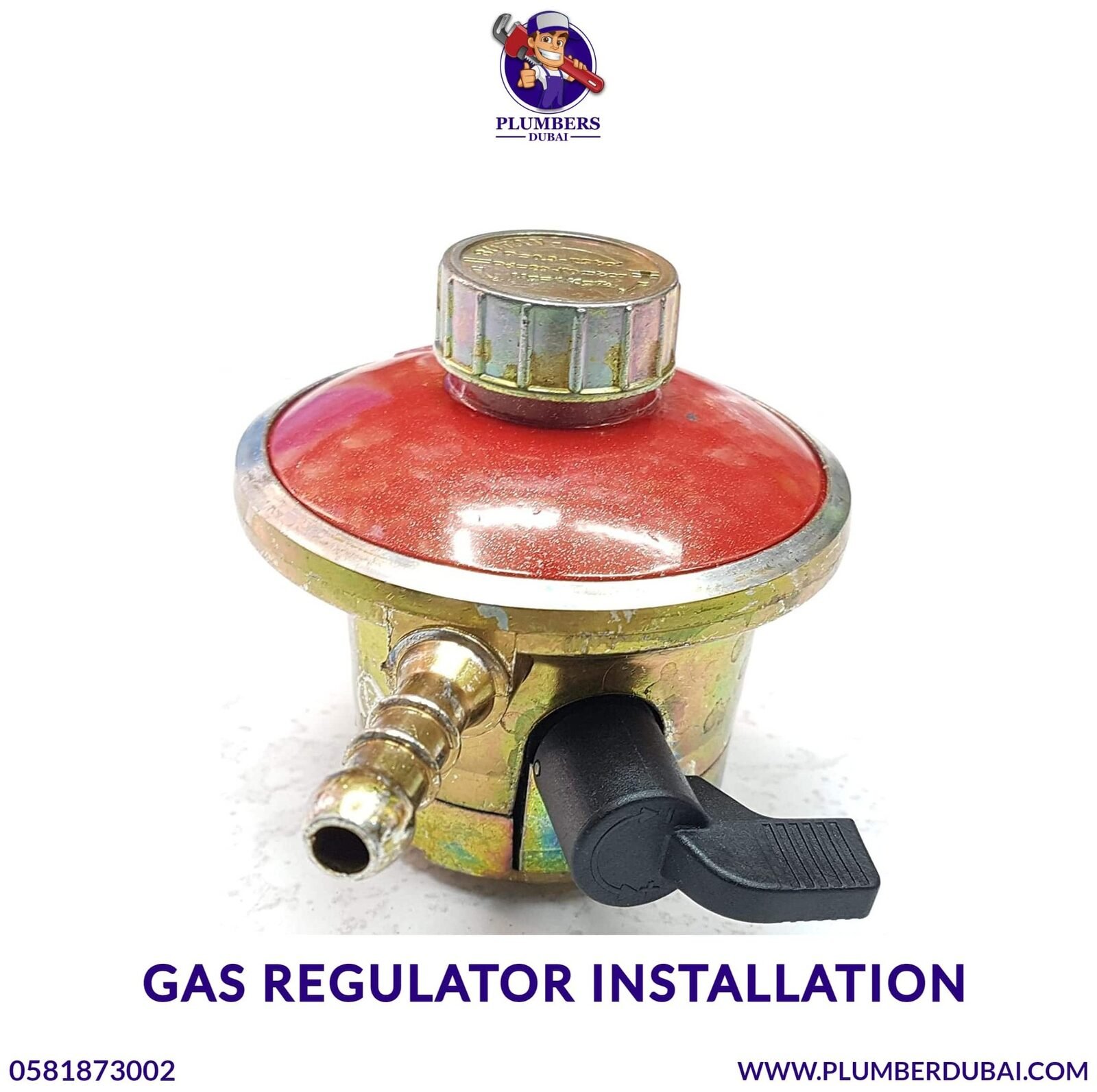 Gas Regulator