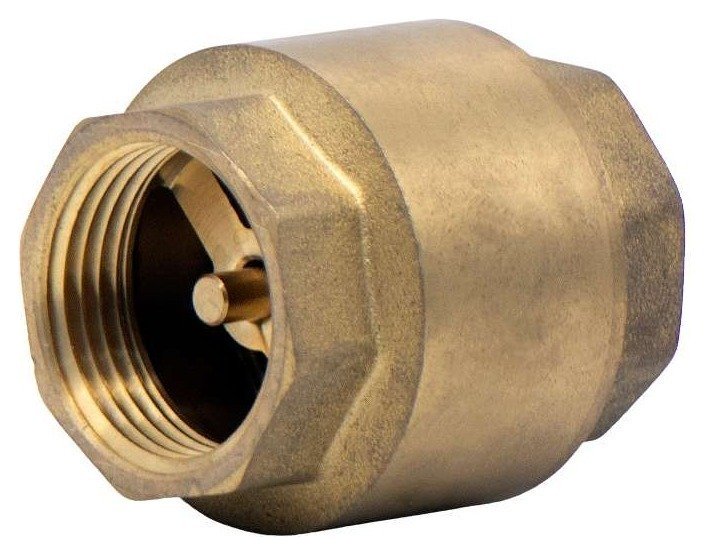 Non Return Valve 2in